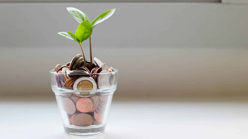 Money in a glass jar with a plant growing out of it