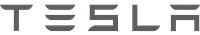 tesla text logo