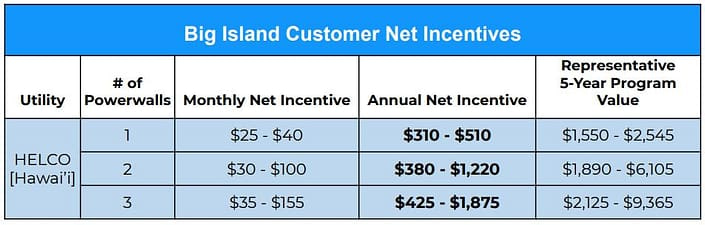 table of Big  IslandCustomer Net Incentives